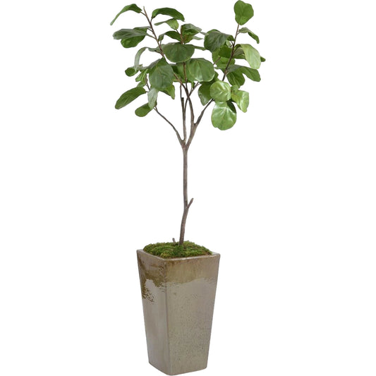 Mossy Fiddle-Leaf Fig by John-Richard in green. Made from unique in a unique style.