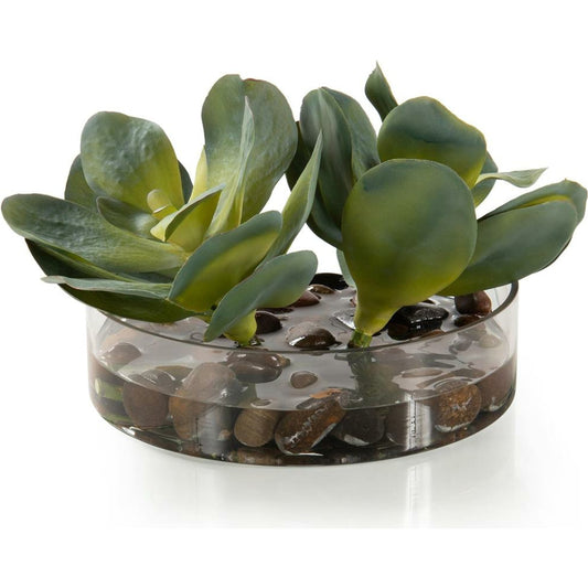 Rocky Succulents by John-Richard in natural. Made from unique in a coastal style.
