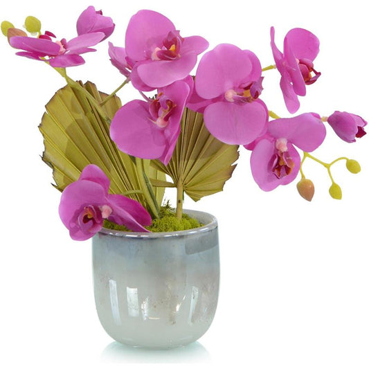 Tropical Fan Orchid by John-Richard in fuchsia. Made from unique in a transitional style.
