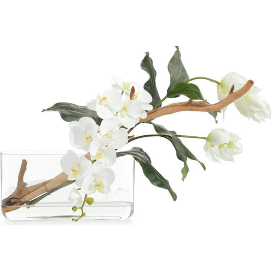 Beautiful Medinilla by John-Richard in natural. Made from unique in a transitional style.
