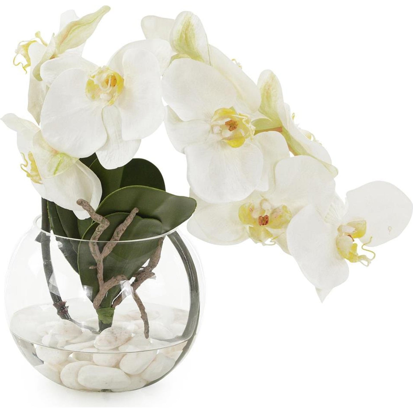 001 SI-1903917 | Primary Silo | Aqua White Orchid by John-Richard in white. Made from unique in a transitional style.