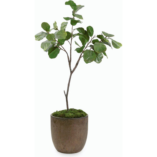 Fiddle Leaf Fig by John-Richard. Made from unique in a modern style.
