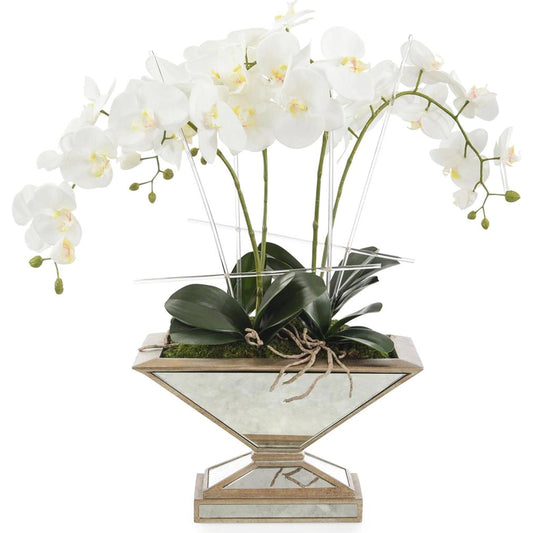 Pleasing Phalaenopsis by John-Richard. Made from unique in a modern style.