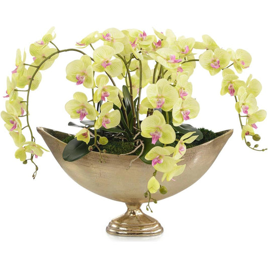 Limelight Orchids by John-Richard in gold. Made from unique in a modern style.
