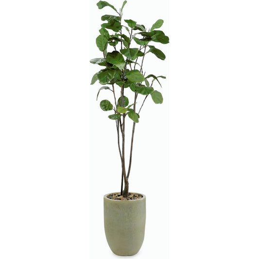 Tall & Slender Fiddle Leaf Fig by John-Richard. Made from unique in a modern style.