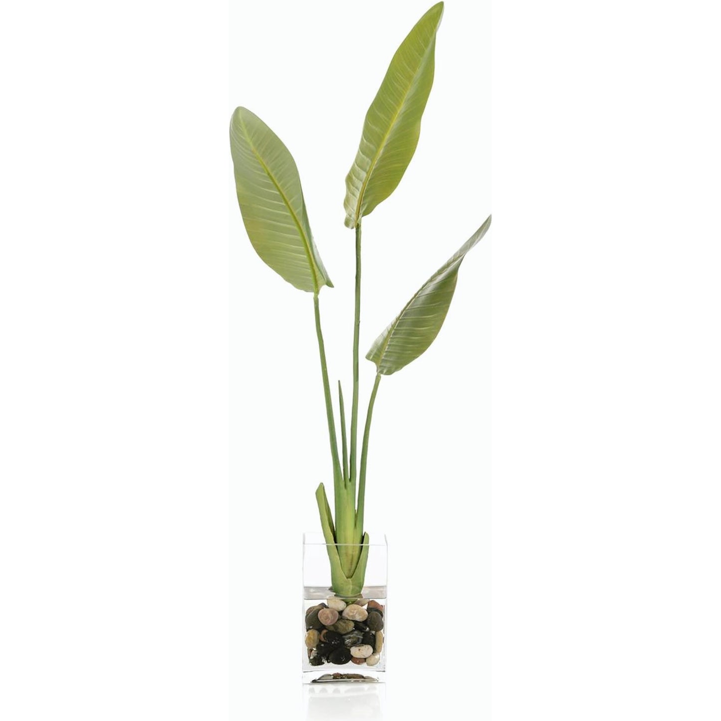 001 SI-2171131 | Primary Silo | New Growth Bird Of Paradise by John-Richard. Made from unique in a modern style.