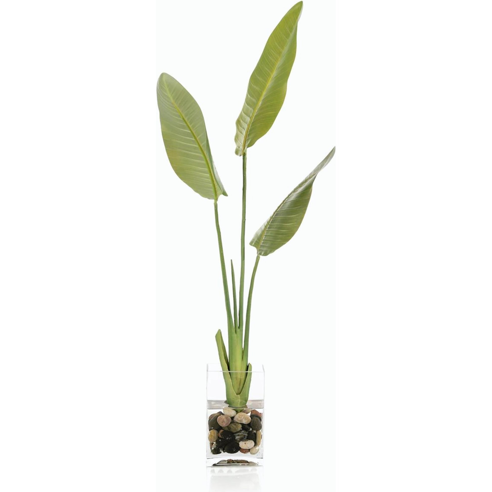 New Growth Bird Of Paradise by John-Richard. Made from unique in a modern style.