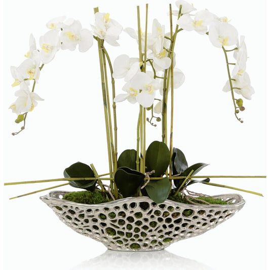 Orchid Display by John-Richard. Made from unique in a modern style.