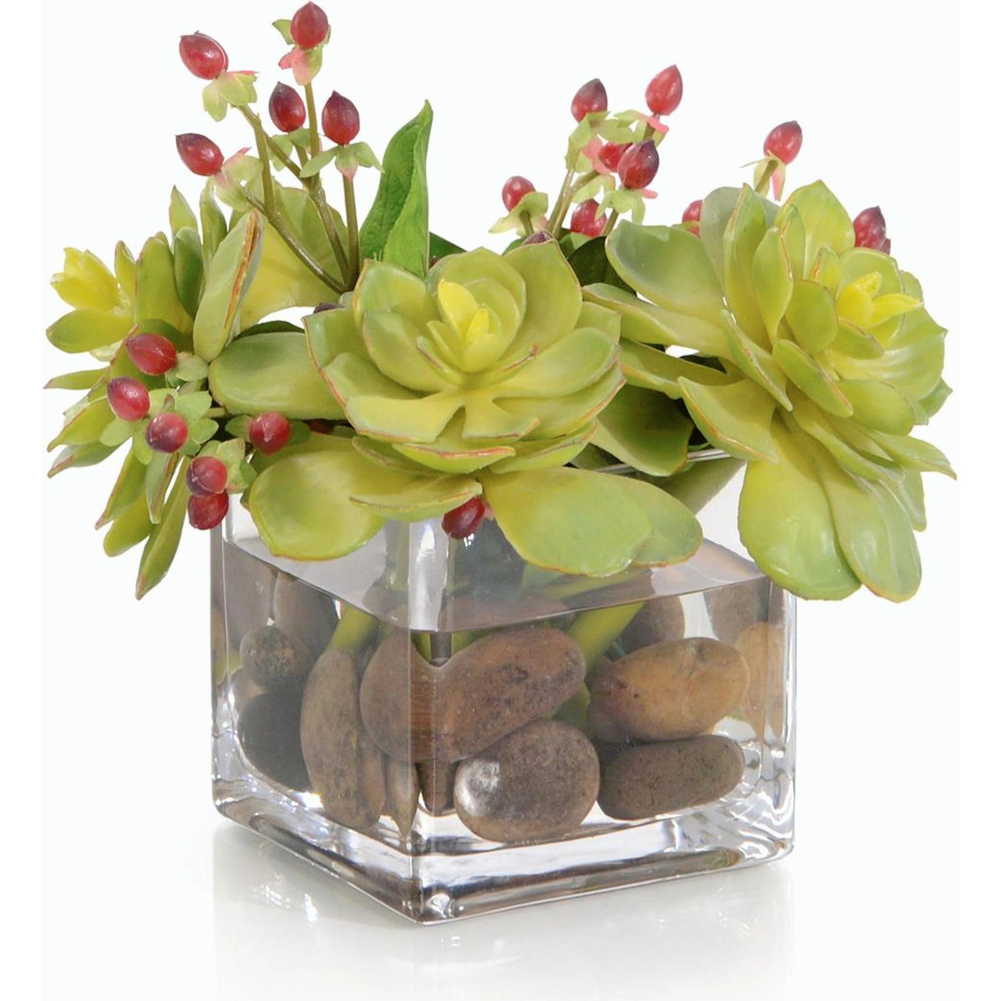 Succulents & Hypericum by John-Richard. Made from unique in a modern style.