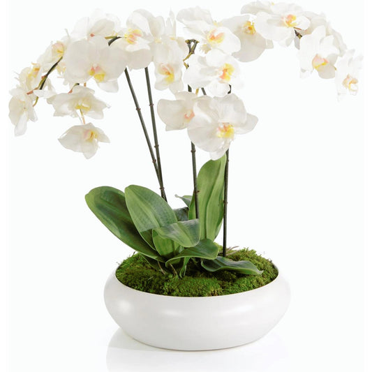 Beautiful Orchids by John-Richard. Made from unique in a modern style.