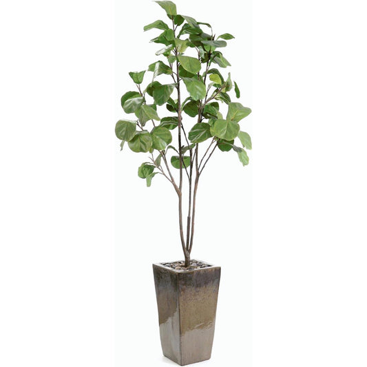 Mossey Green Fig Tree by John-Richard. Made from unique in a modern style.