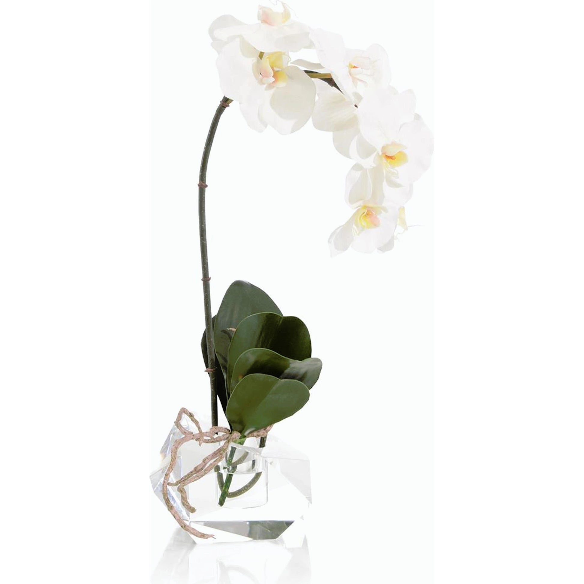 Real Touch Orchid by John-Richard. Made from unique in a modern style.