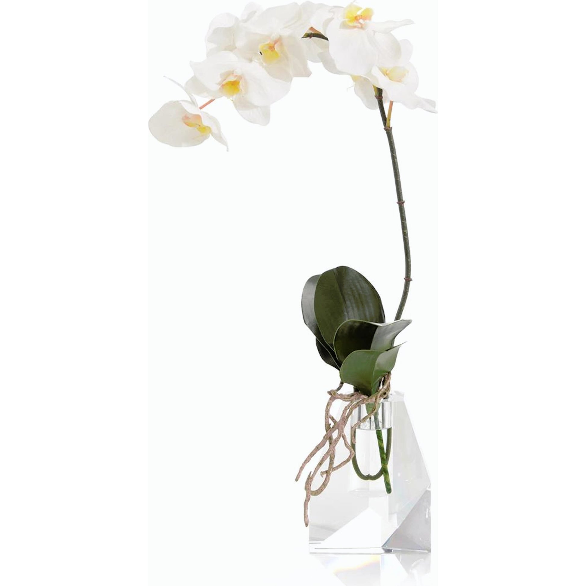 Rock Crystal Real Touch Orchid by John-Richard. Made from unique in a modern style.