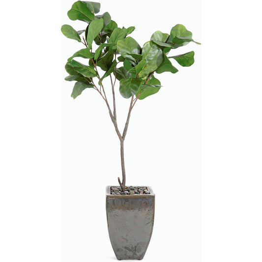 Rocky Fig Tree by John-Richard. Made from unique in a modern style.