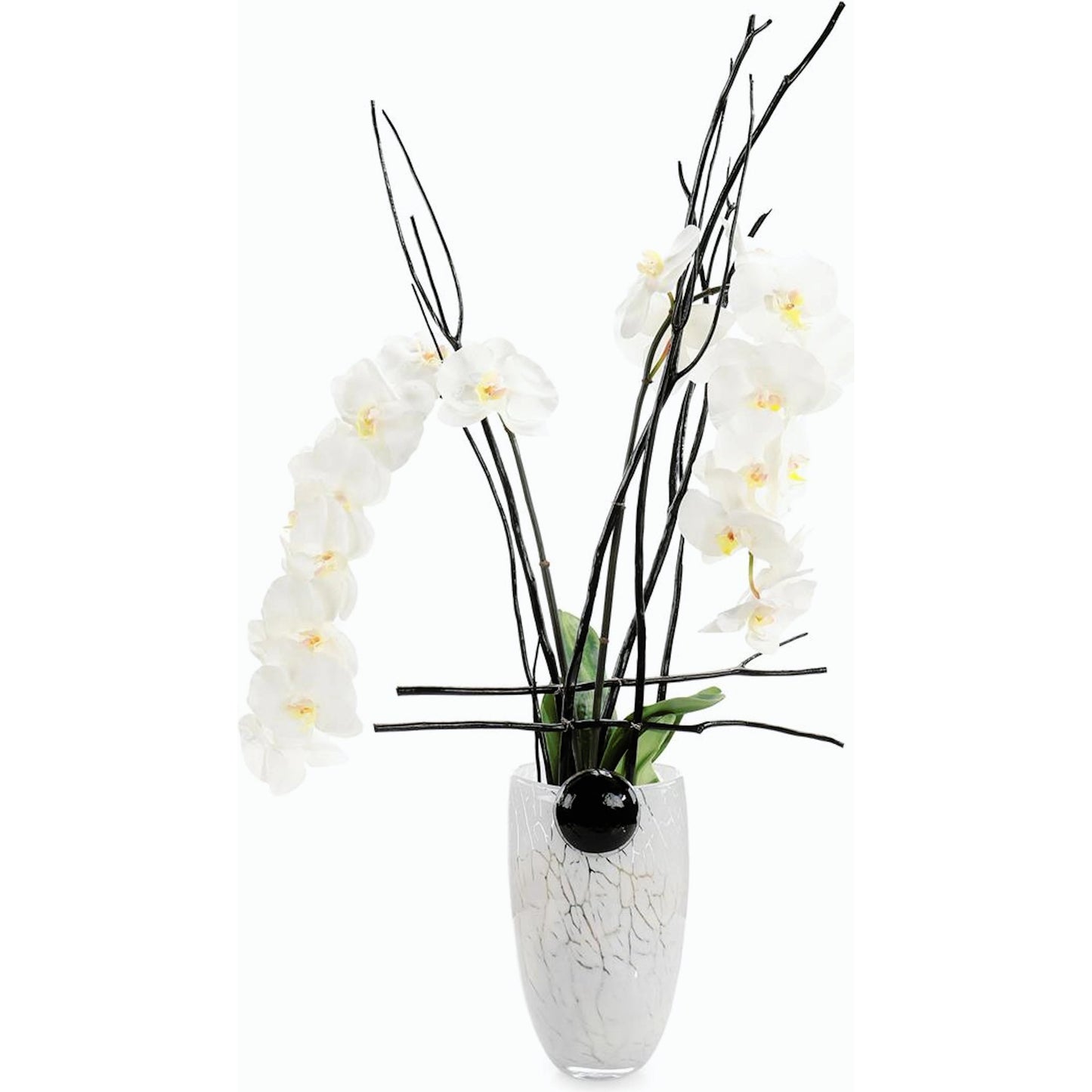 001 SI-2171053 | Primary Silo | Midnight Phals I by John-Richard. Made from unique in a modern style.