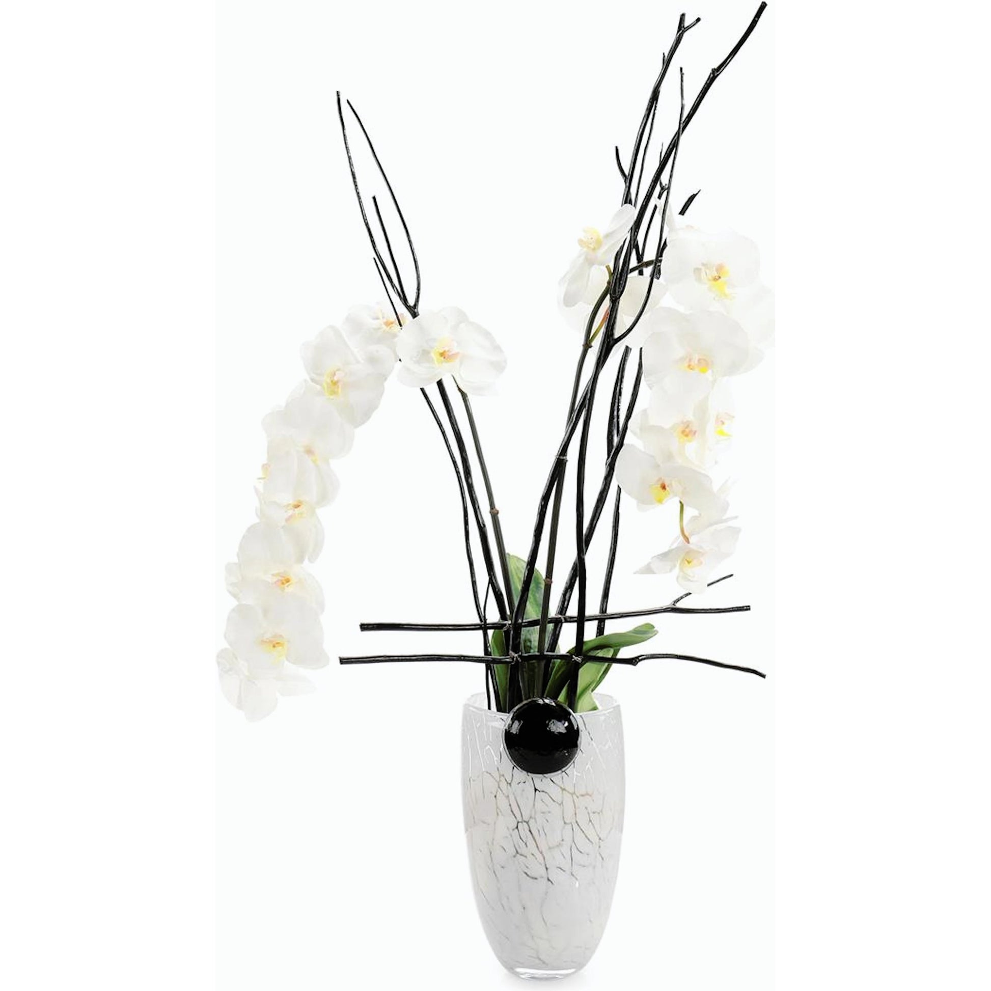 Midnight Phals I by John-Richard. Made from unique in a modern style.