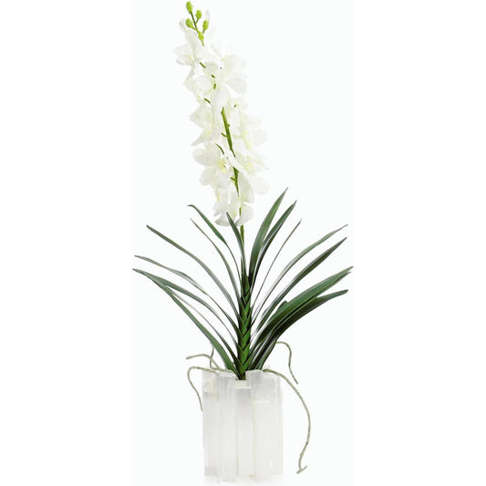 Dendrobium 'N' Selenite by John-Richard. Made from unique in a modern style.