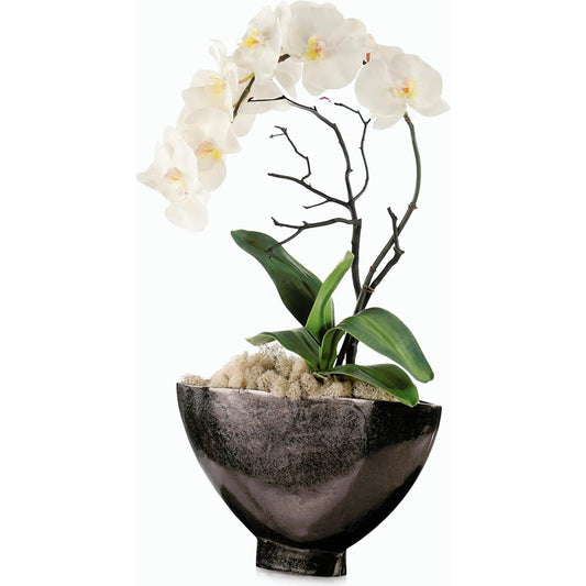 Dawn Phalaenopsis by John-Richard. Made from unique in a modern style.