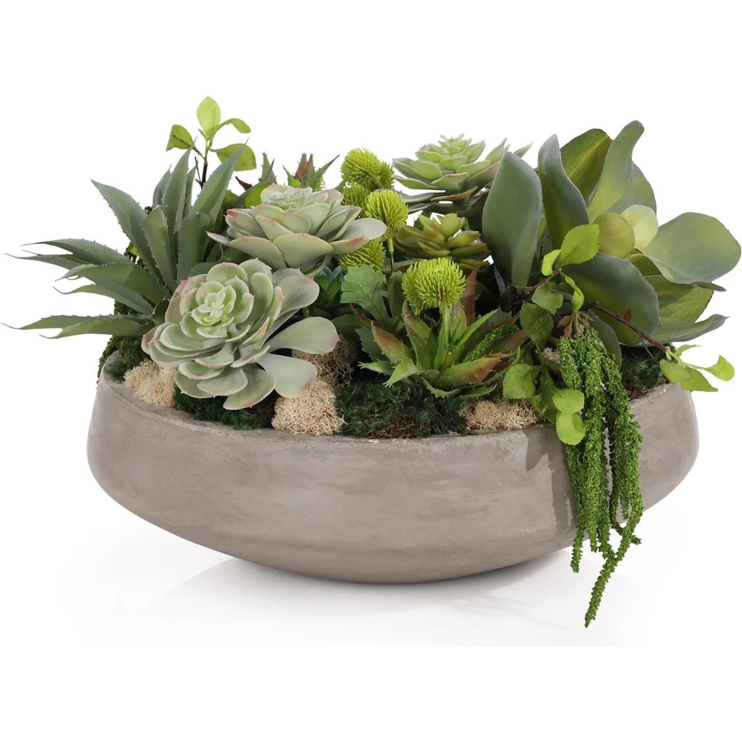 001 SI-2372899 | Primary Silo | Amsterdam Succulents by John-Richard in gray, green. Made from cement in a modern style.