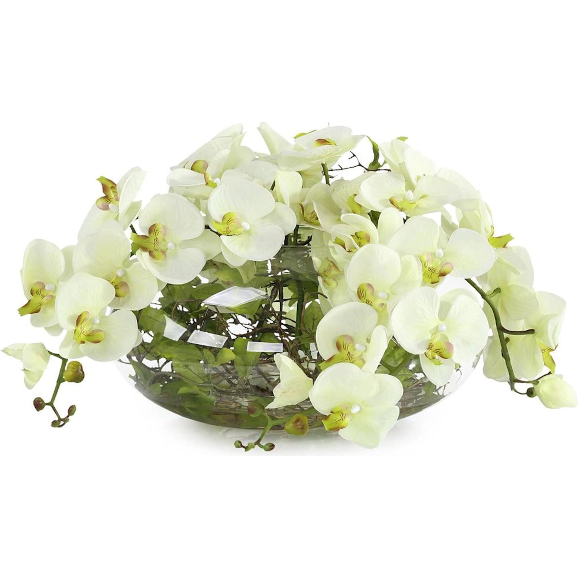 Enchanted Orchids by John-Richard in white, green, clear. Made from green phalaenopsis orchids, glass, green leaf vines, faux water in a transitional style.