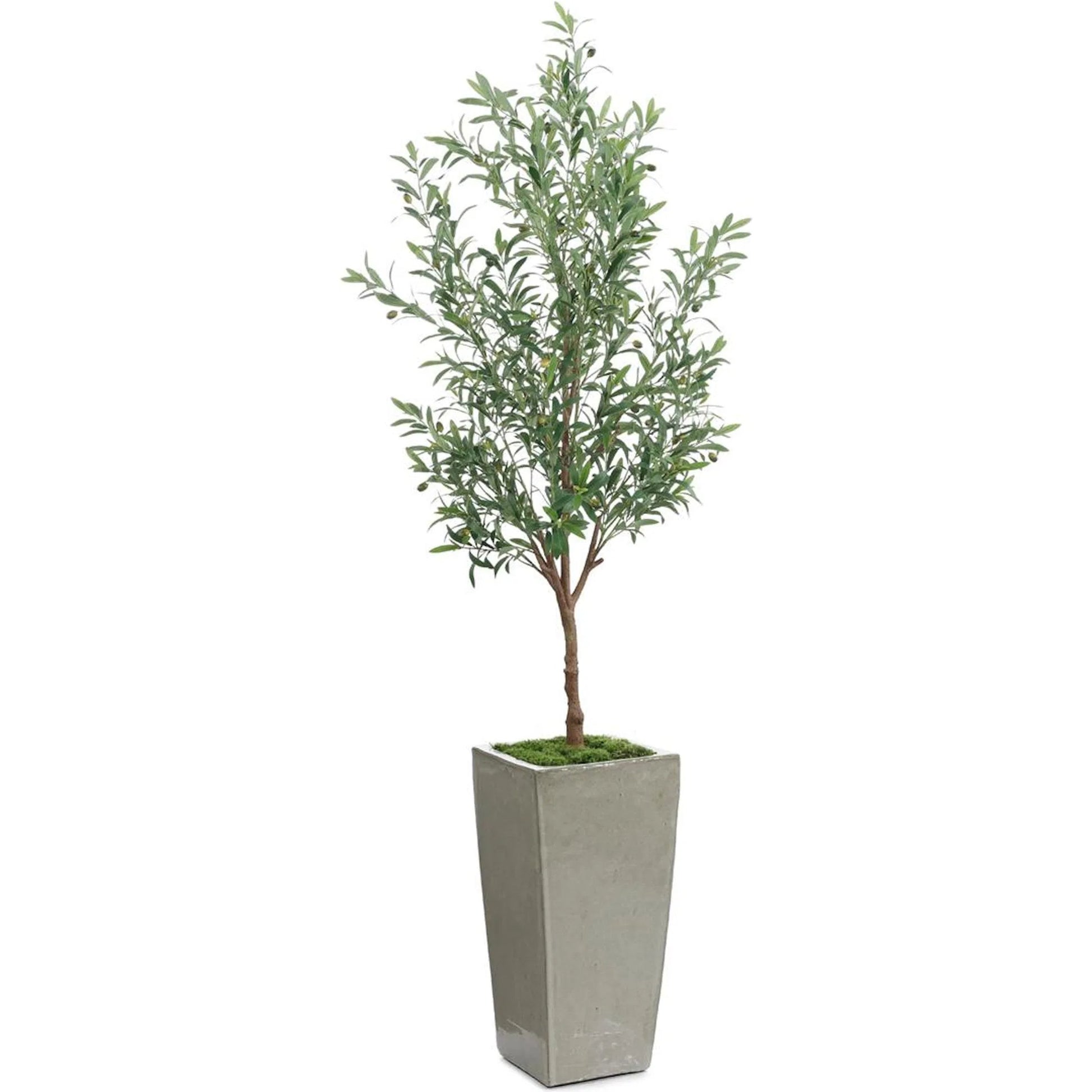 Garden Olive by John-Richard. Made from unique in a transitional style.