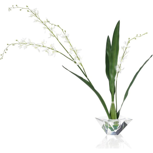 Graceful Cymbidium by John-Richard in white. Made from unique in a unique style.