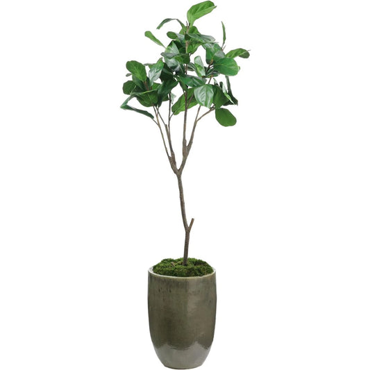 Mossy Green Fiddle Leaf Fig by John-Richard. Made from unique in a unique style.