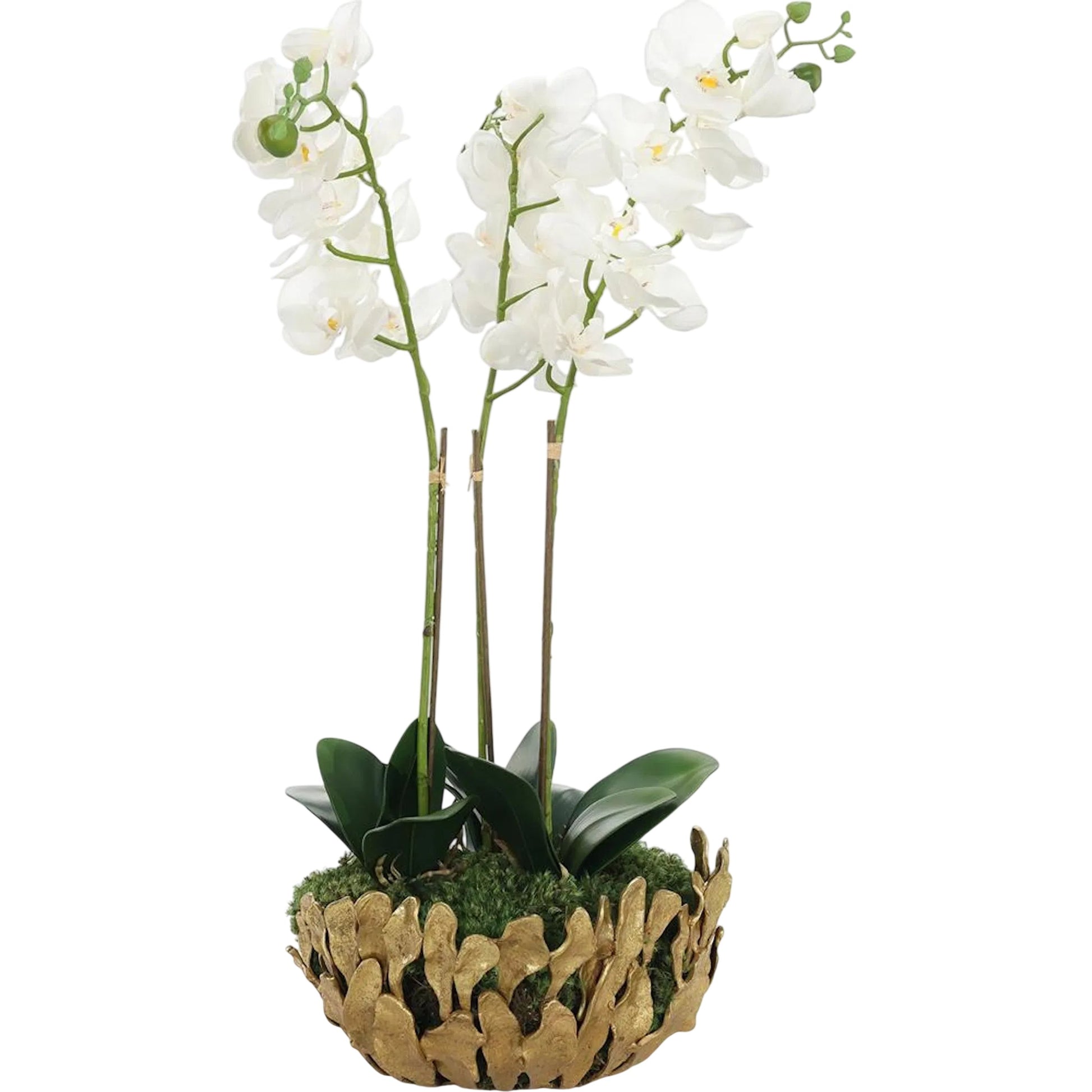 Orchid Elegance by John-Richard. Made from unique in a unique style.