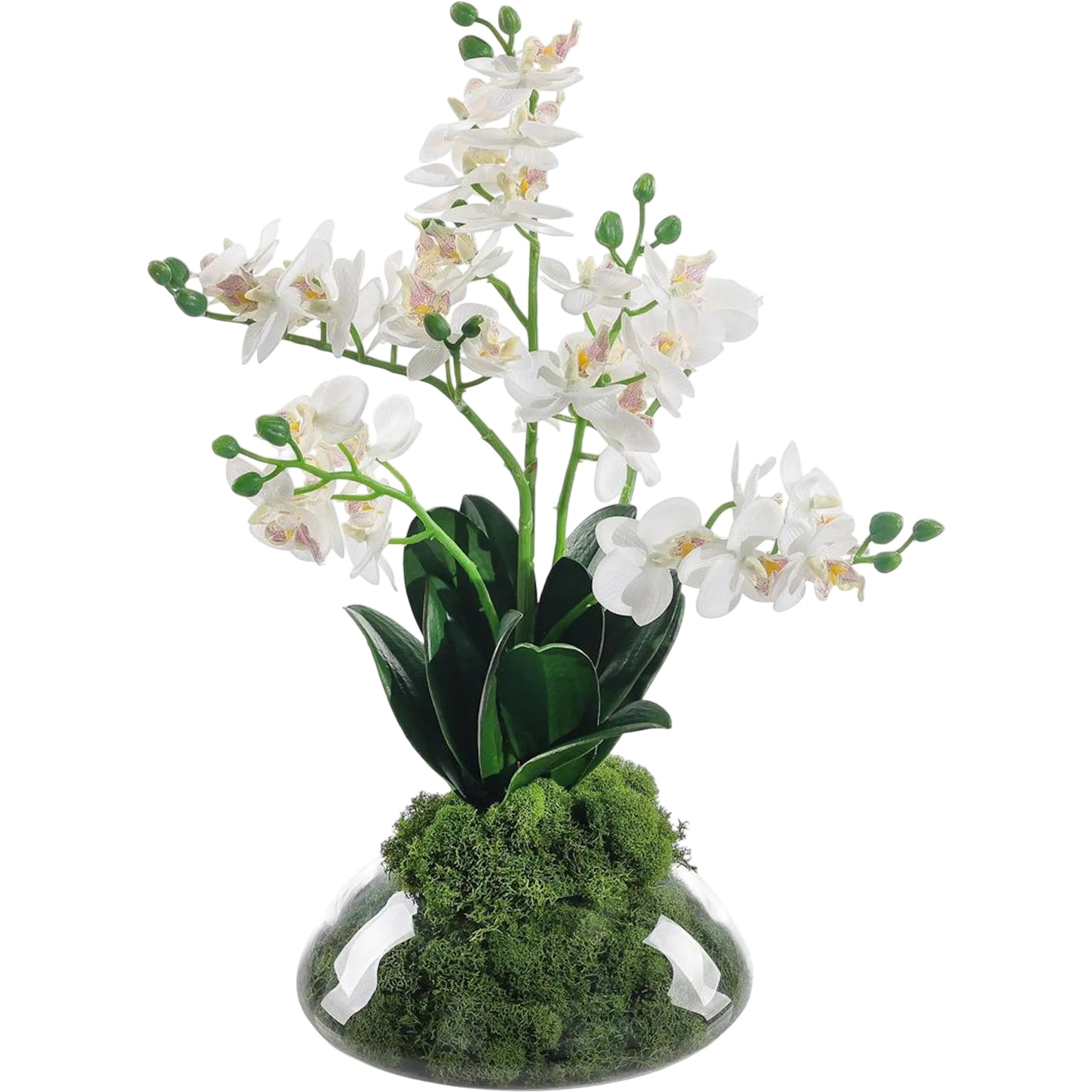 Petite Orchids by John-Richard. Made from unique in a unique style.