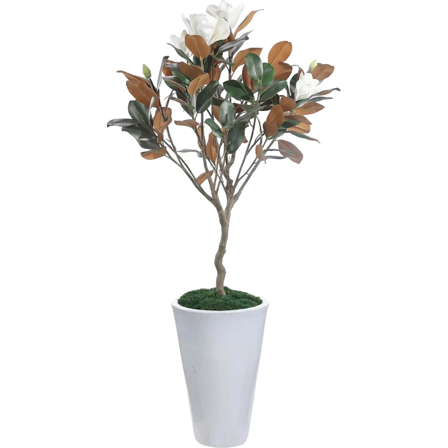 000 SI-2629589 | Primary Silo | Southern Magnolia Tree by John-Richard. Made from unique in a unique style.