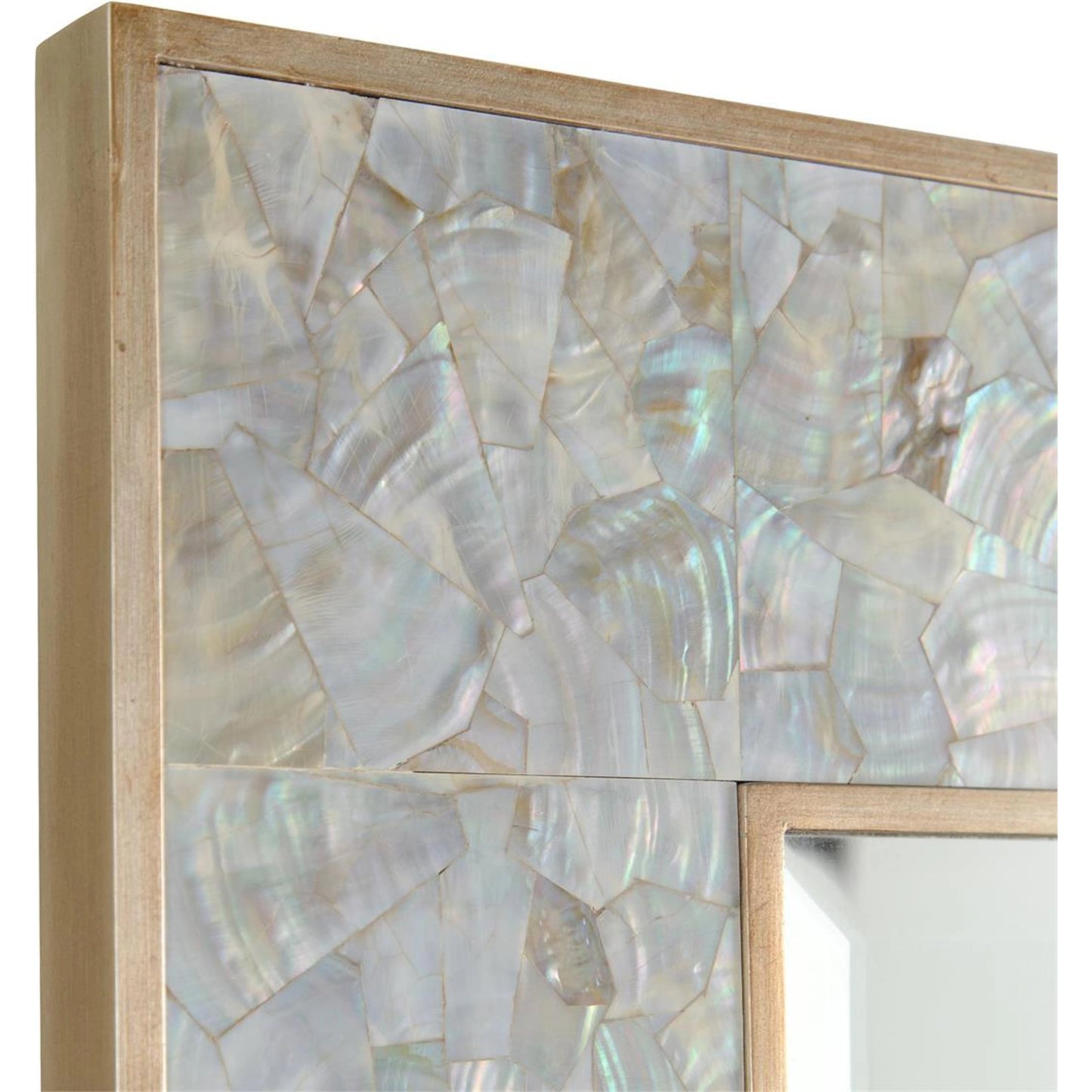 002 SI-1989441 | Closeup | Bacchus Mirror by John-Richard in ivory and brushed silver. Made from unique in a modern style.