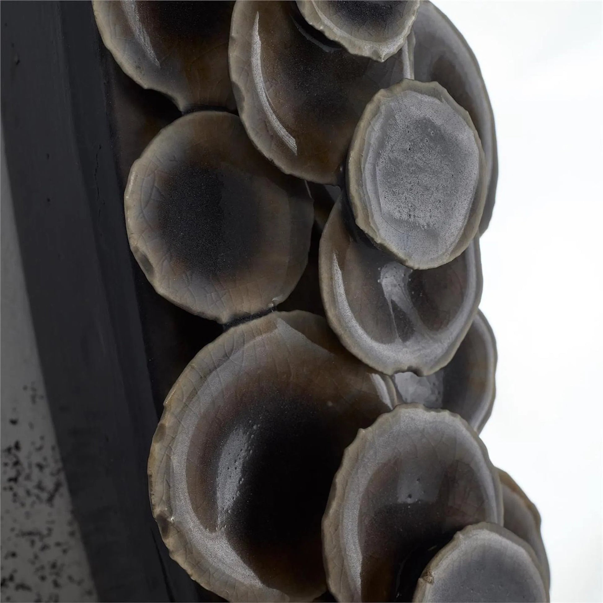 Barnacle Mirror by John-Richard. Made from unique in a unique style.