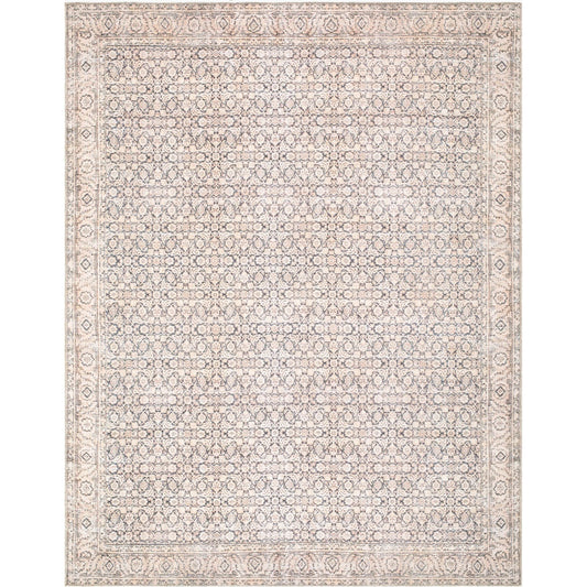 Sylvia JYSL-2301 Rug by Livabliss in beige, slate, gray, ivory, taupe. Made from chenille-polyester in a unique style.