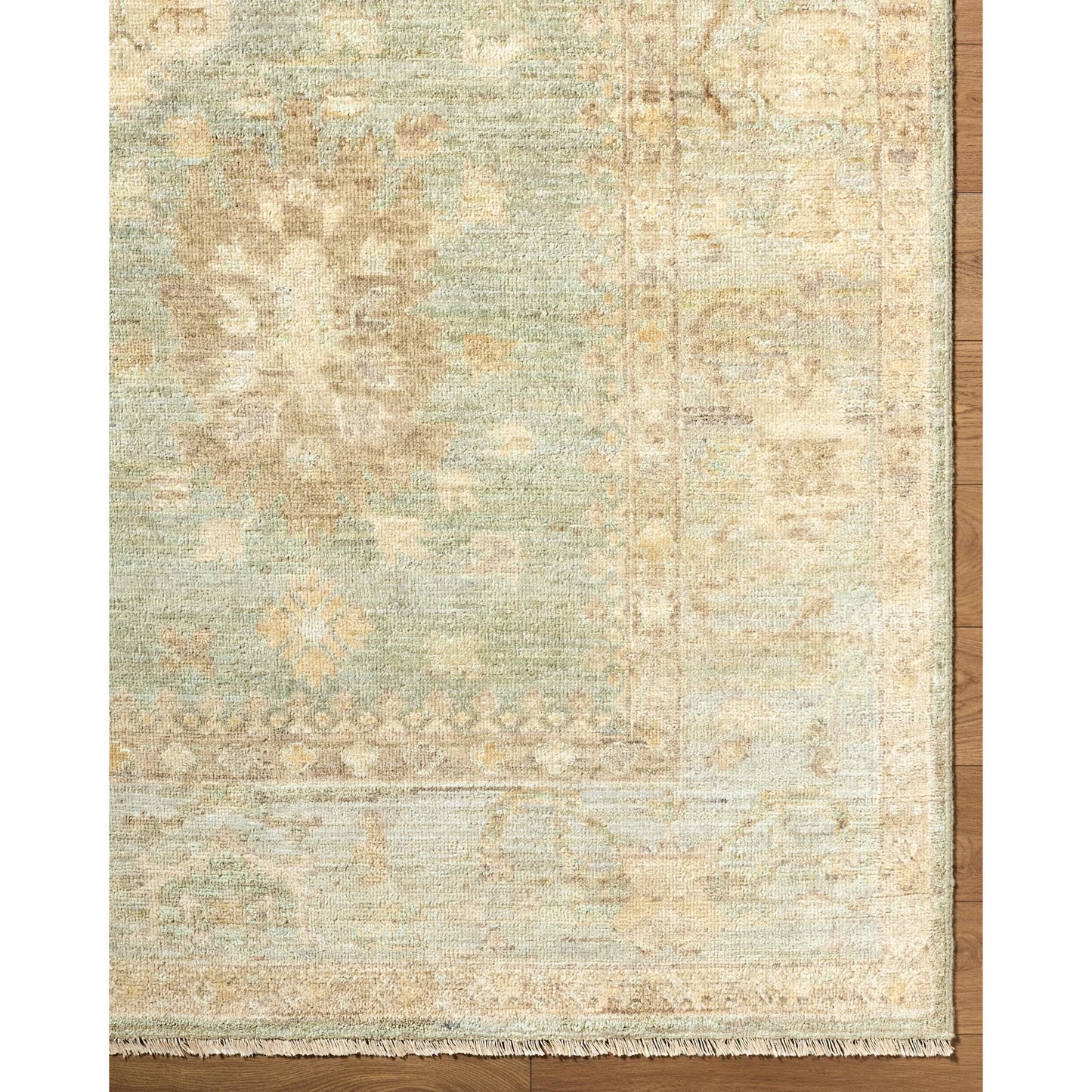005 SI-2258977,SI-2258978,SI-2258979,SI-2258980 | Closeup | Khotan KHT-2304 Rug by Surya in sage, sandstone, ivory, taupe, dusty blue. Made from wool in a unique style.