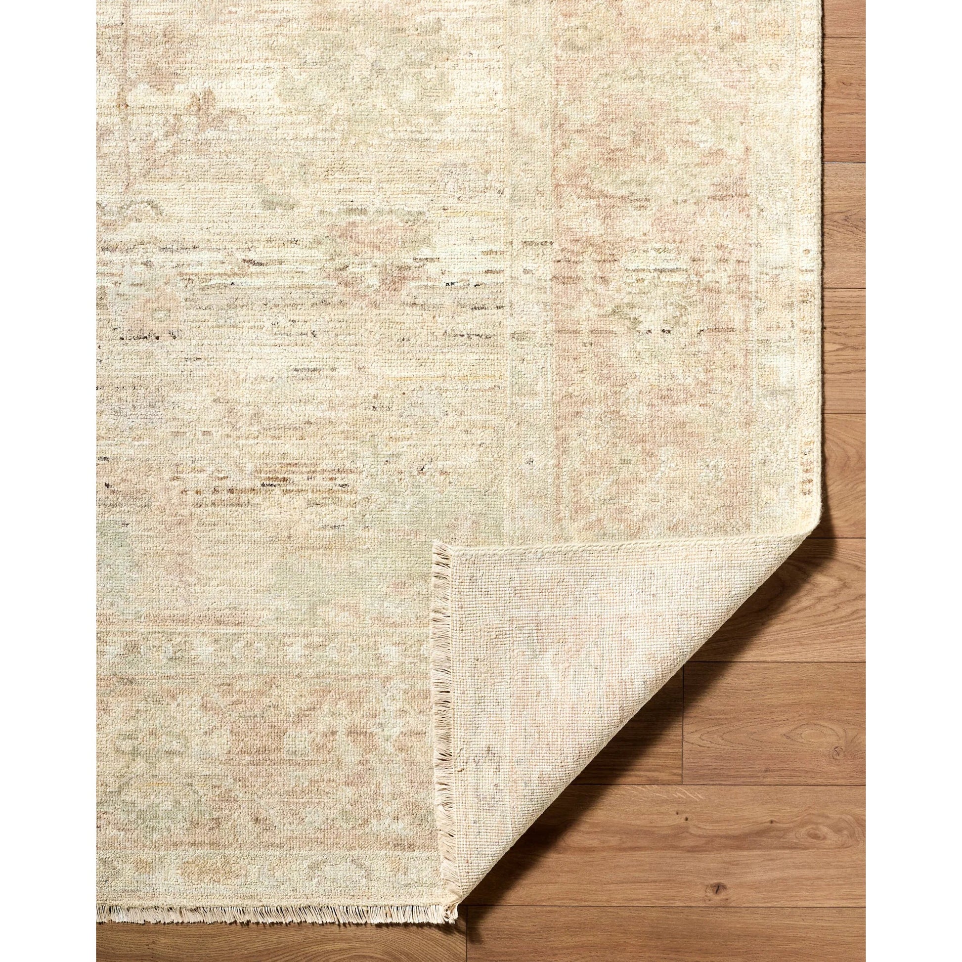 Khotan KHT-2305 Rug by Surya in beige, blush, sage, cream, taupe. Made from wool in a unique style.