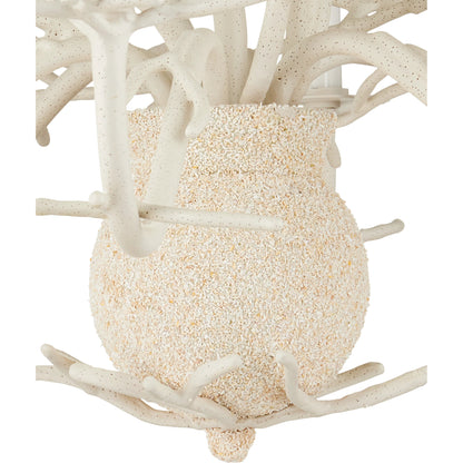 Seaward Chandelier by Currey and Company in white coral, natural sand. Made from wrought iron in a coastal style.
