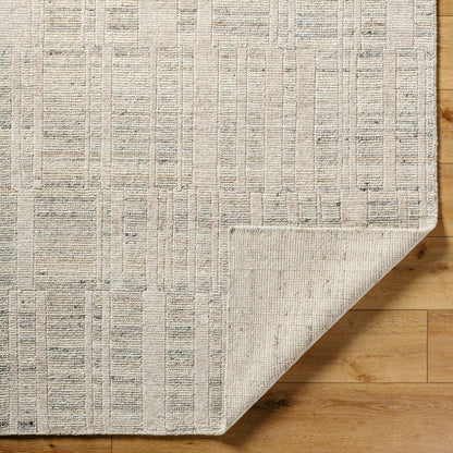 Knoxville Rug - 529068 by Surya in ivory, taupe, slate gray, charcoal. Made from wool in a unique style.