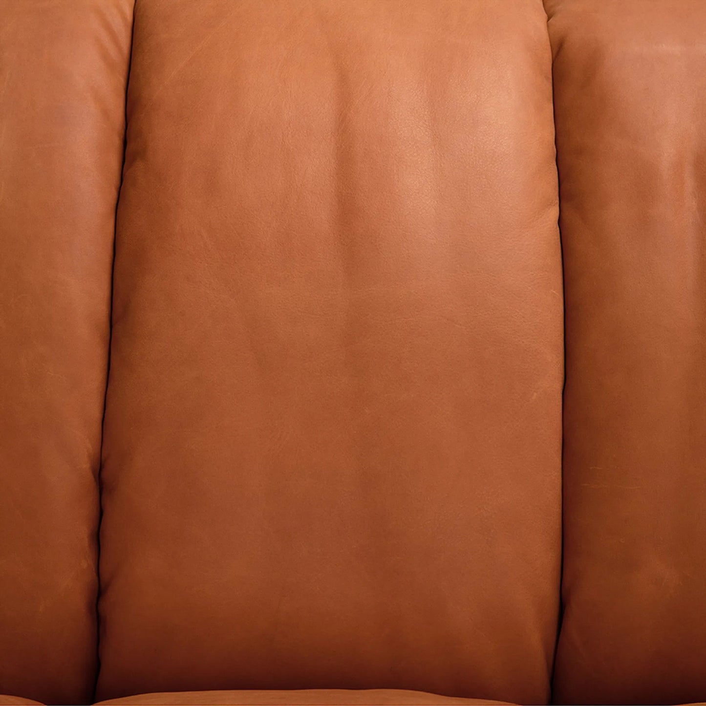 003 SI-2440884 | Closeup | Amadeus Sofa by Noir in roman red leather. Made from leather, wood in a traditional style.
