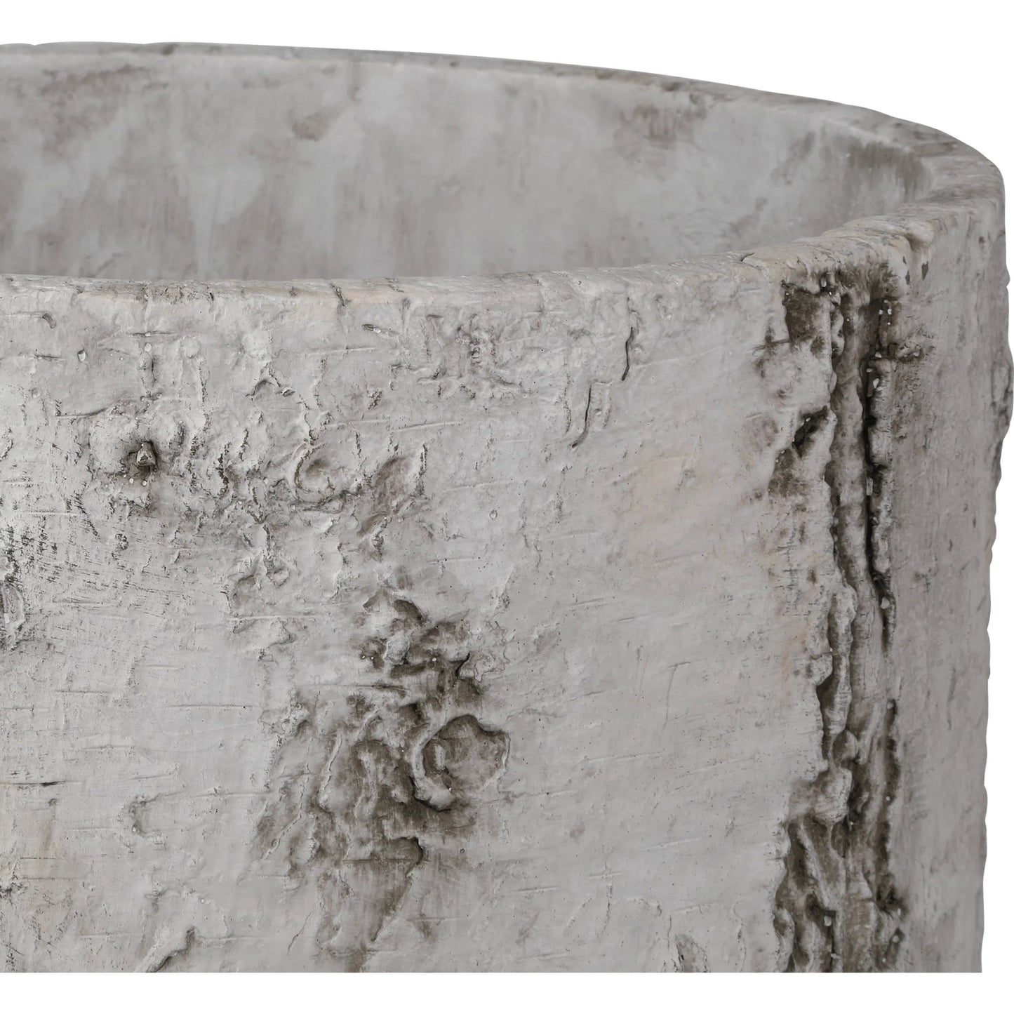 004 SI-2257247,SI-2257248 | Closeup | Faux Birch Planter by Currey and Company in black, beige, pale gray. Made from fiber cement in a modern style.