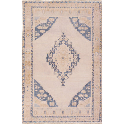 Lumal Debolo Rug by Vibe by Jaipur Living in tan, blue. Made from 100% polyester in a unique style.