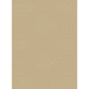 Tan, Light Gray / 2' x 3'