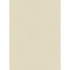 Light Olive, Ivory / 2' x 3'