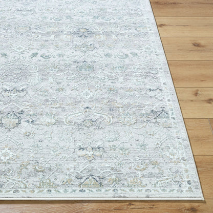 Lorenz LTZ-2301 Rug by Livabliss in light sage, light gray, gray, ivory, sage. Made from polypropylene, polyester in a unique style.