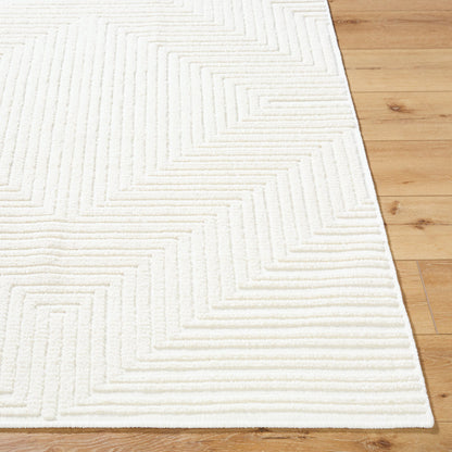 Lyna Rug - 537555 by Livabliss. Made from polypropylene, chenille-polyester in a unique style.