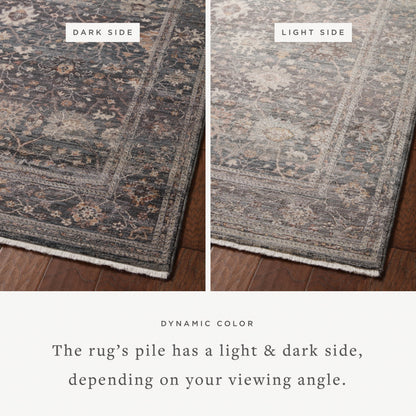 Lyra LYR-04 Rug by Loloi. Made from 100% polyester in a unique style.