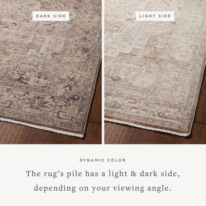 Lyra LYR-06 Rug by Loloi. Made from 100% polyester in a unique style.