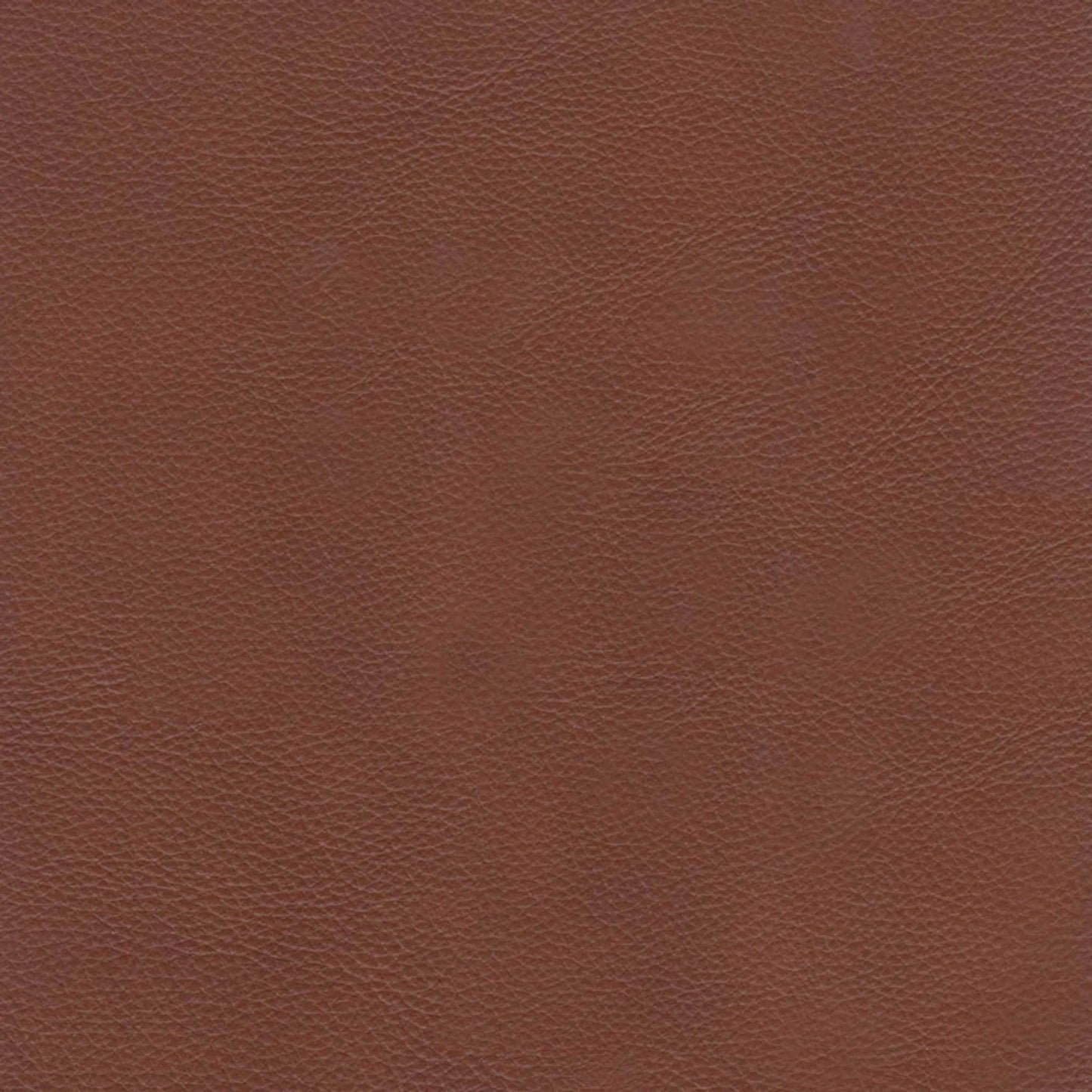 003 SI-2379375 | Closeup | Venice 2-Seat Zero Gravity Leather Sofa by Hydeline in nutmeg brown. Made from leather, pu leather, solid hardwood kiln dried in a traditional style.