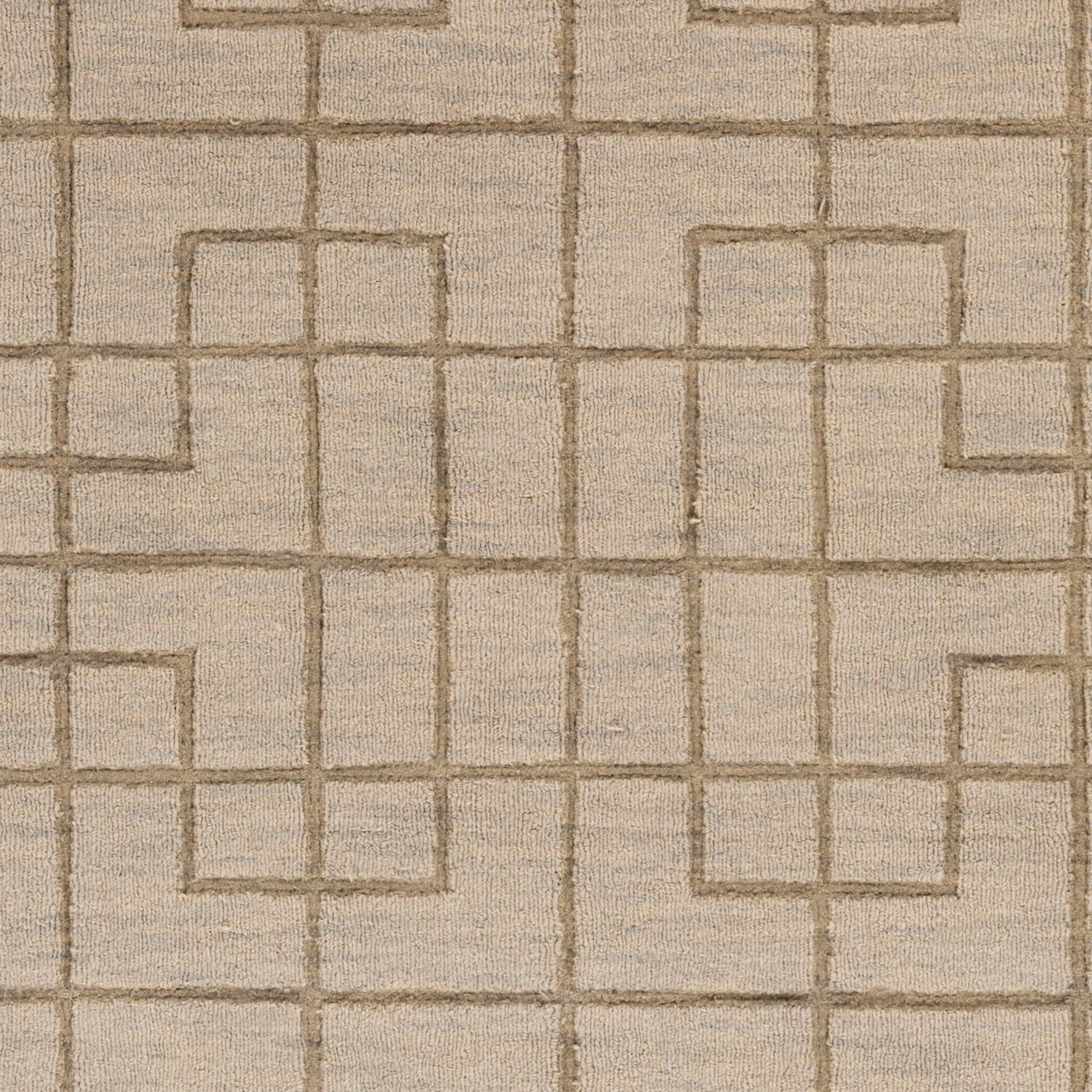 Mystique Rug - 14836 by Surya. Made from 100% wool in a unique style.