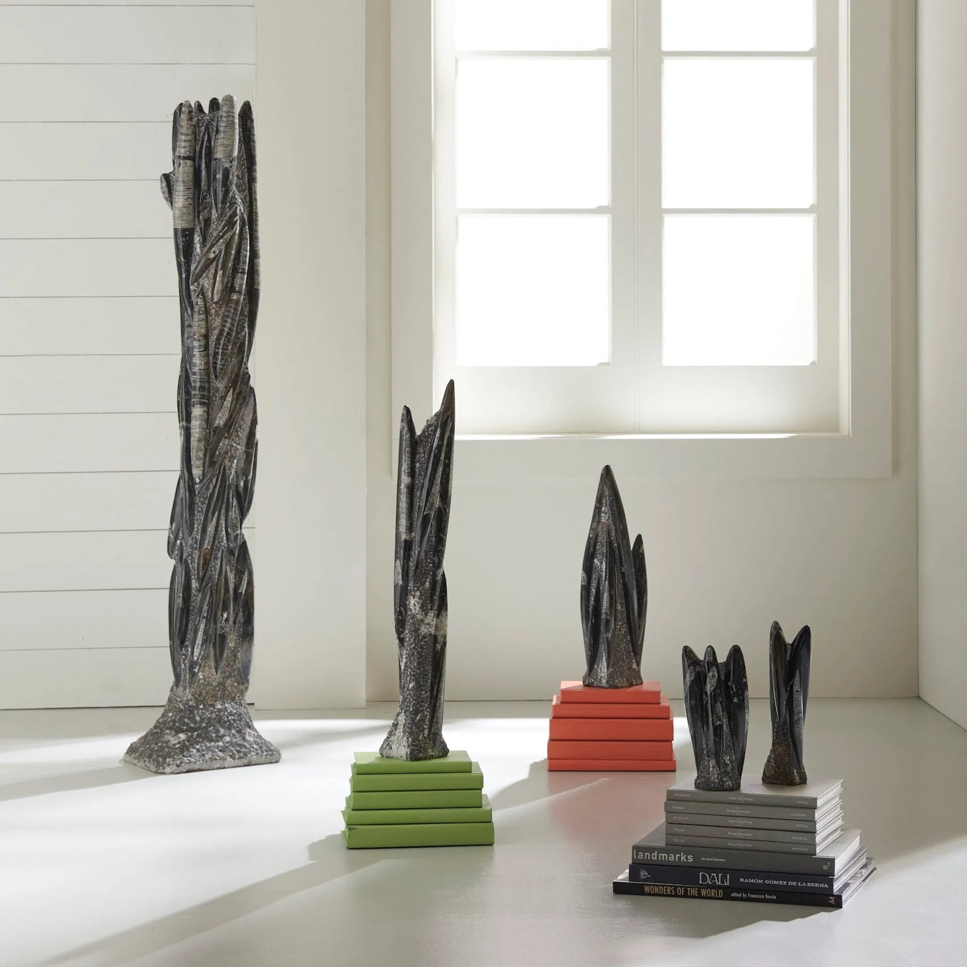 Fossilized Squid Sculpture by Phillips Collection in black, gray, white. Made from stone in a eclectic & global style.