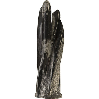 Fossilized Squid Sculpture by Phillips Collection in black, gray, white. Made from stone in a eclectic & global style.